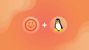 Announcing Idalko Services for Open-Source Software