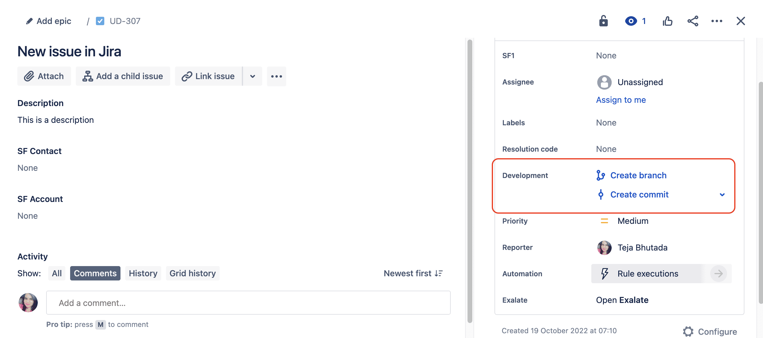 dev panel in jira issue