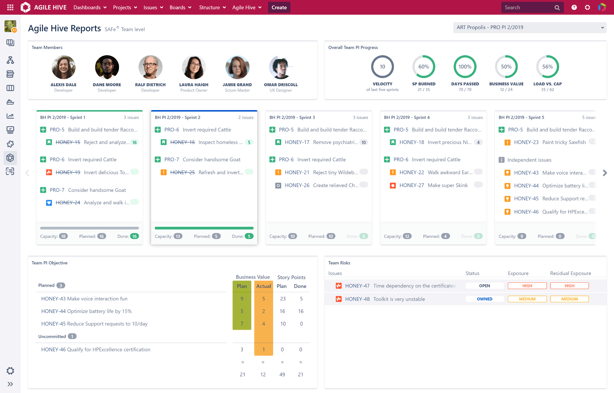 Agile Hive Team Report